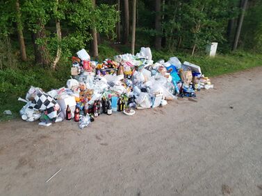 Überfüllte Mülleimer am Brombachsee